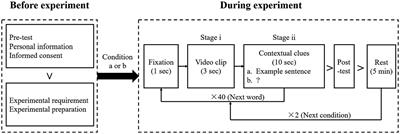 The impact of internal-generated contextual clues on EFL vocabulary learning: insights from EEG